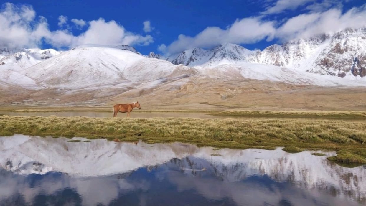 Know about those beautiful tourist places where you would definitely want to visit