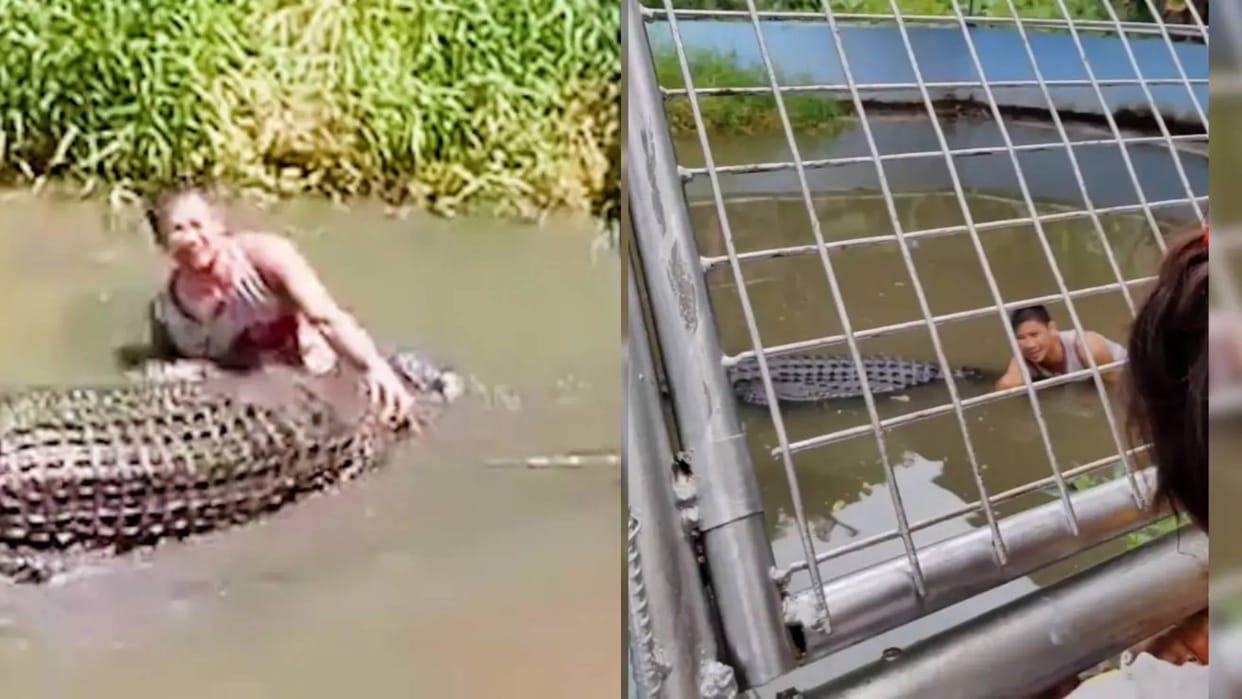 Viral Video Man Got into trouble while taking selfie crocodile tore his hand this video will shock you