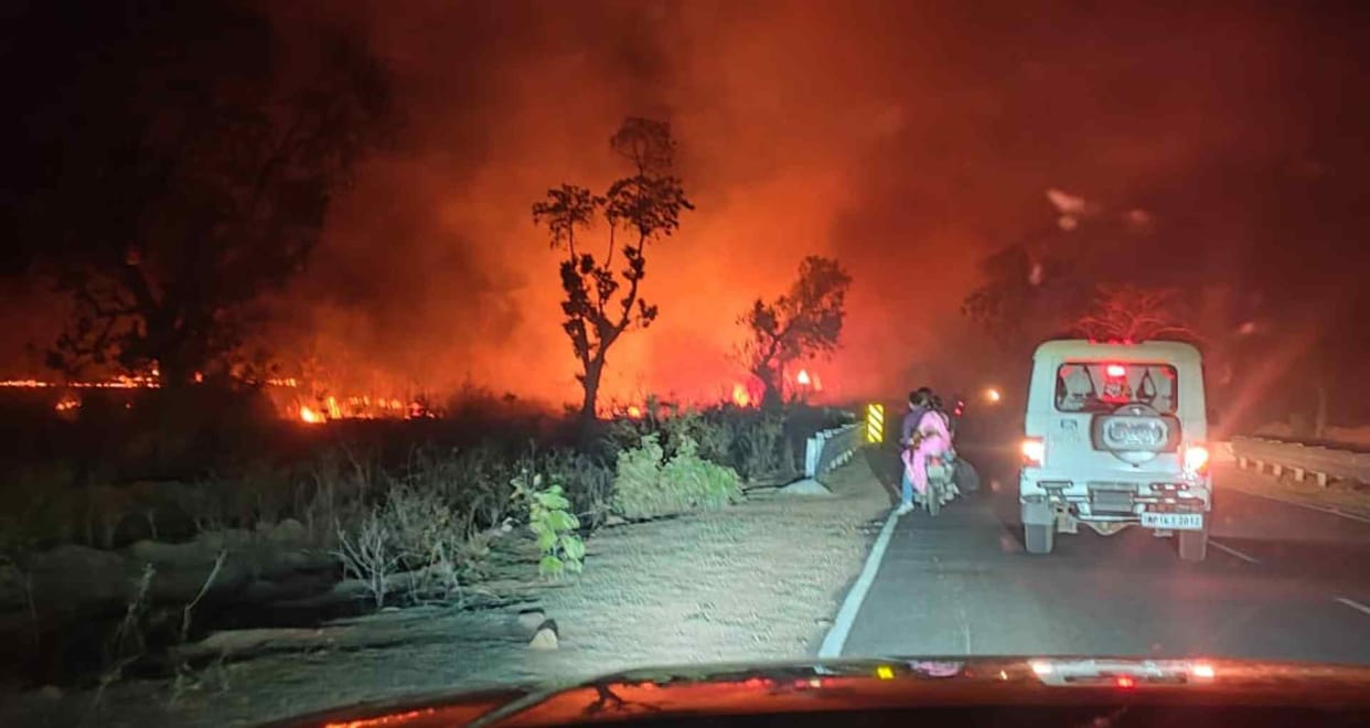 Collector orders failed farmers burnt stubble again fire fields became uncontrollable