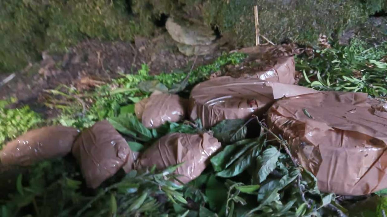 Terrorist hideout busted in Poonch Jammu and Kashmir