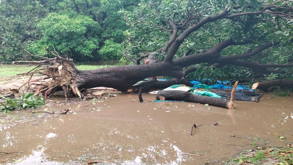 Storm and rain wreak havoc in Aligarh