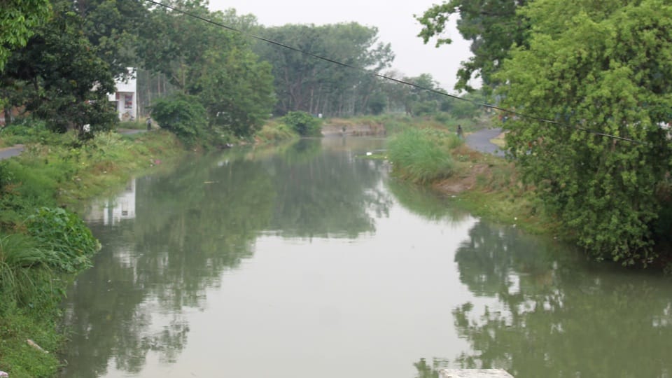 Hathras Branch Canal water issue