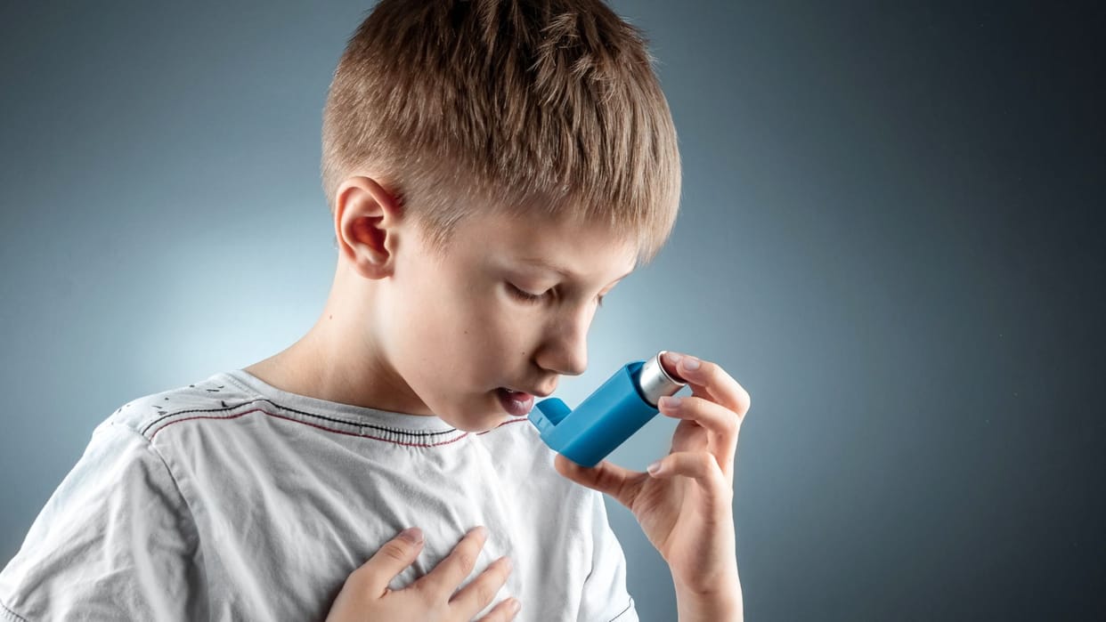 Asthma Cases Rising in Children Due to Pets and Indoor Pollution Doctors Warn in Agra