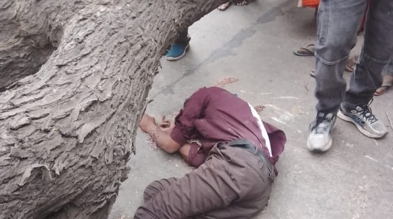 Kanpur Tree fell due to storm bike rider died after being crushed Young man was returning from in laws house