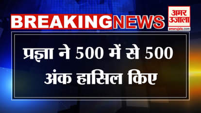 MP Board 10th-12th Exam 2025 Result: Pragya topped MP Board 10th and Priyal topped 12th