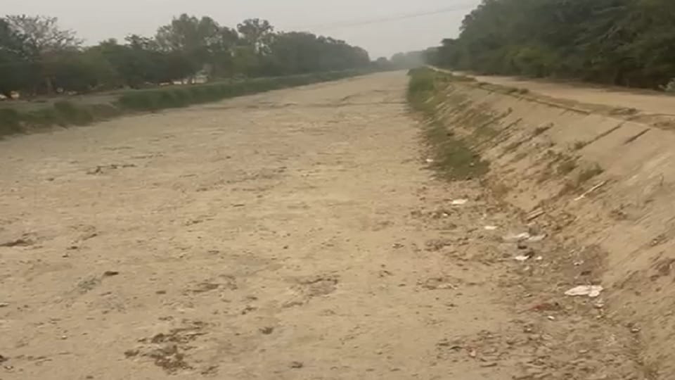 After May 10, water will be available in Kaithal from Sirsa Branch Canal