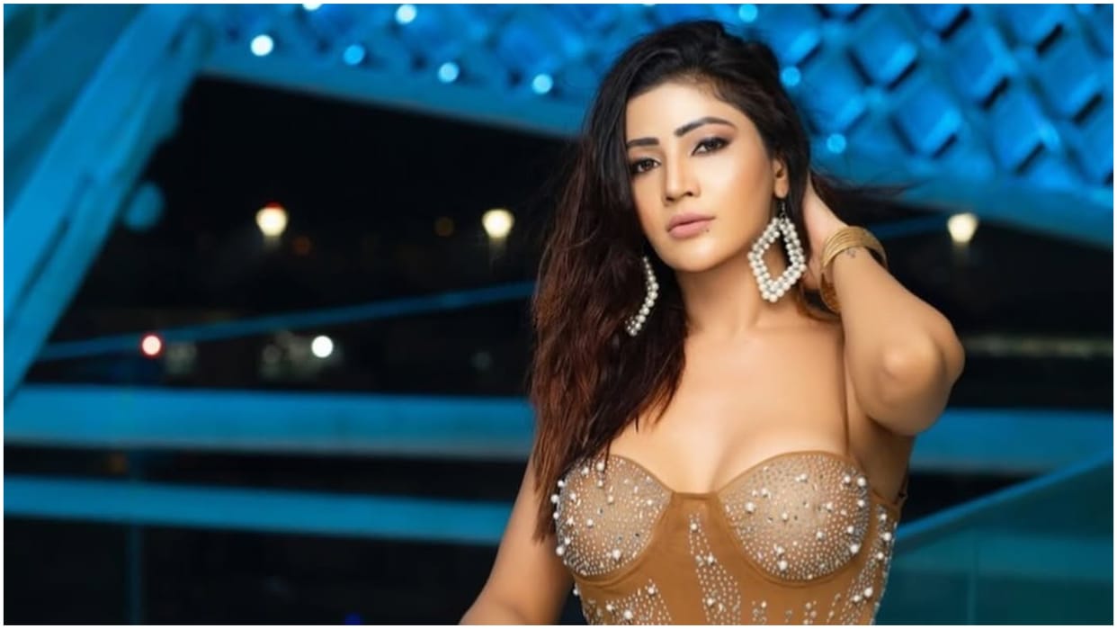 Bigg Boss 17 Fame Soniya Bansal May be quit Acting because she was lacking peace in her life