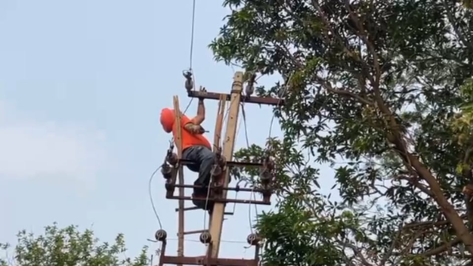 Pspcl worker died due to electric shock while repairing electricity in Kapurthala see video