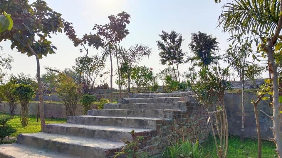 Jungle safari boating and horse riding free in agra up news