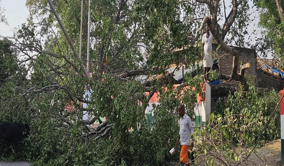 Storm and rain wreaked havoc, dozens of trees fell on vehicles and high tension wires
