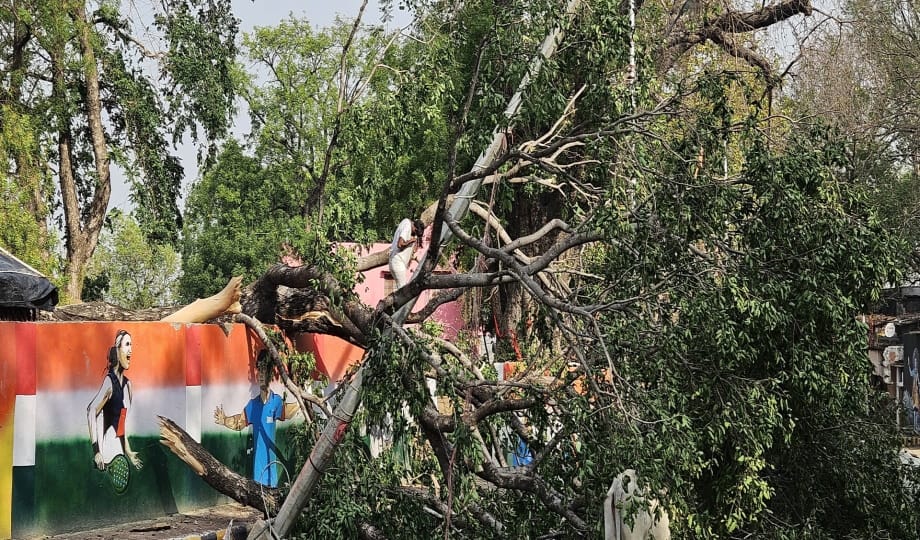Storm and rain wreaked havoc, dozens of trees fell on vehicles and high tension wires