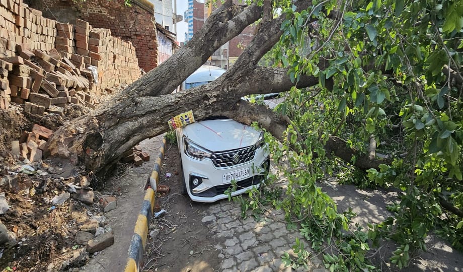 Storm and rain wreaked havoc, dozens of trees fell on vehicles and high tension wires