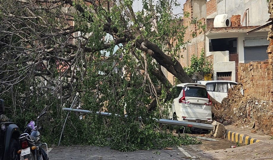 Storm and rain wreaked havoc, dozens of trees fell on vehicles and high tension wires