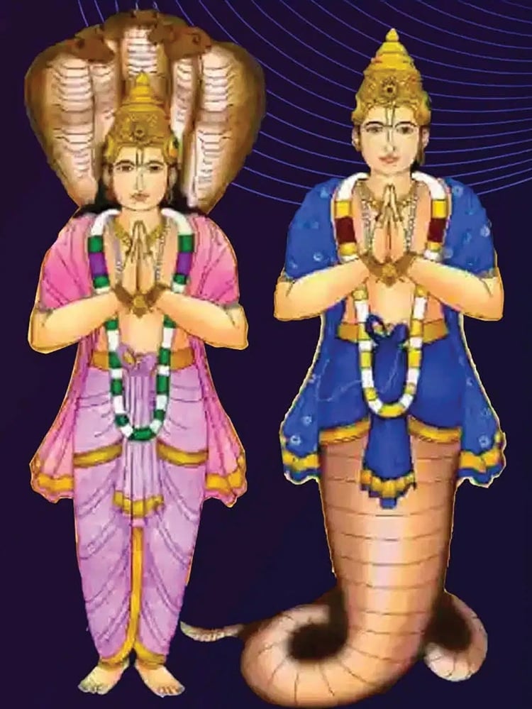 Kata Raha राहु-केतु का गोचर इन राशि वालों के लिए हो सकता है खतरनाक
