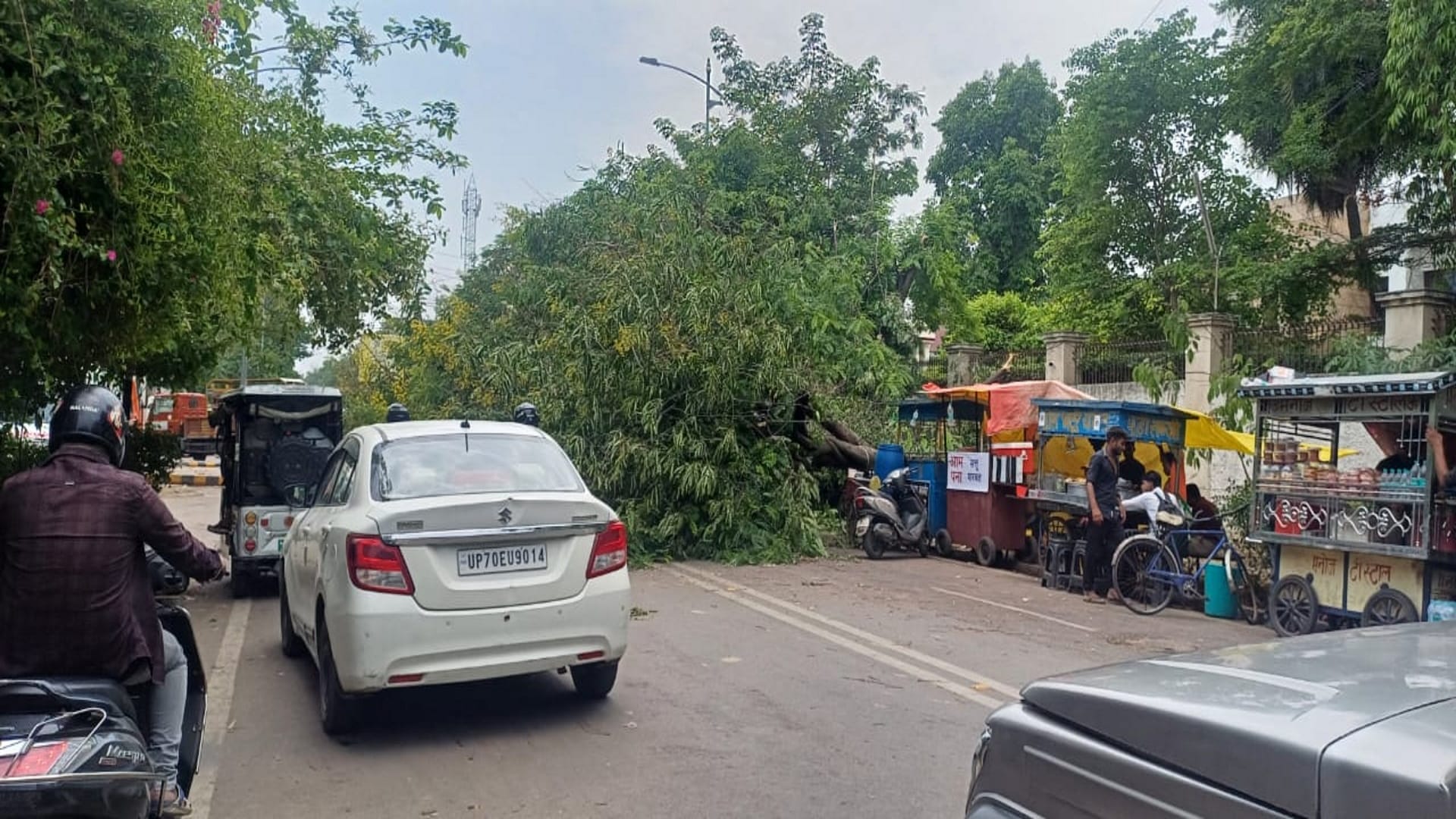Storm and rain wreaked havoc, dozens of trees fell on vehicles and high tension wires