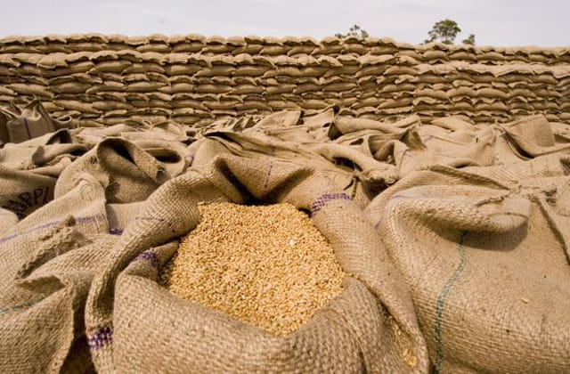 Lalitpur: Cooperative societies will also purchase wheat, farmers will get facilities at the local level.