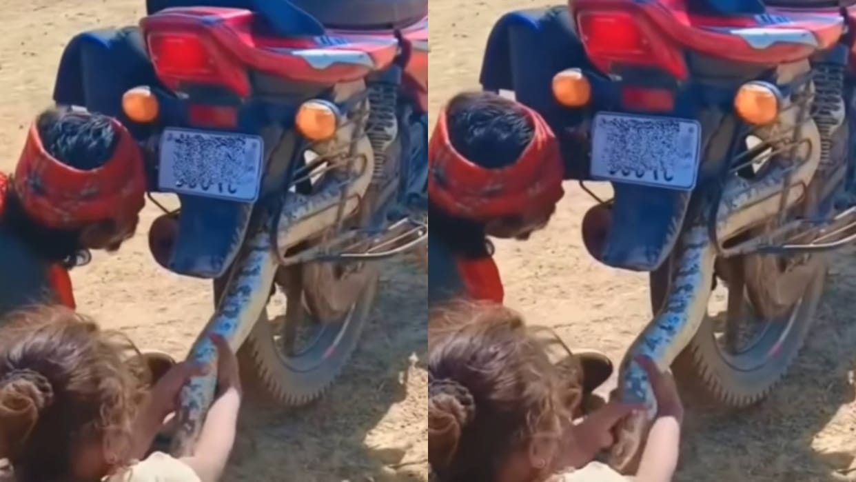 A giant python was hidden inside the bike it was seen before one could sit on Video goes Viral on Internet