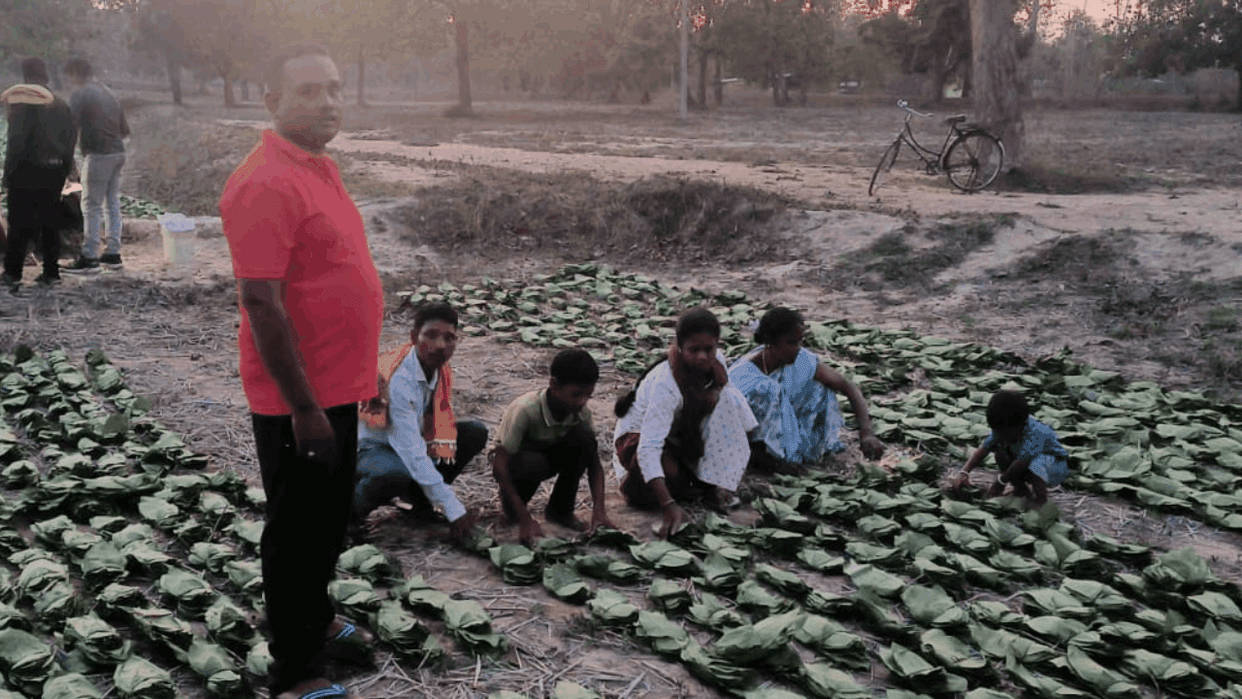 Bijapur Tendu leaf collection work started successfully