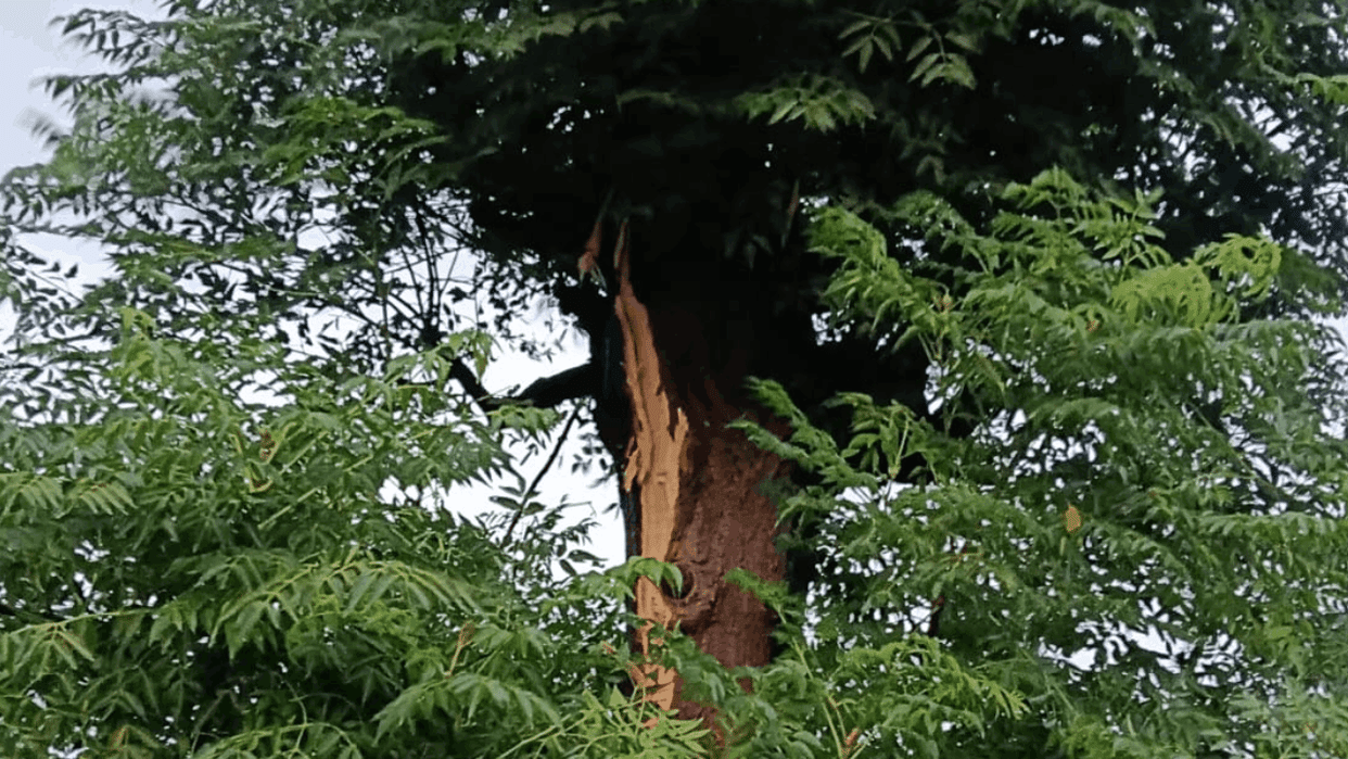 Lightning strikes in Kotdwar and teenager dies