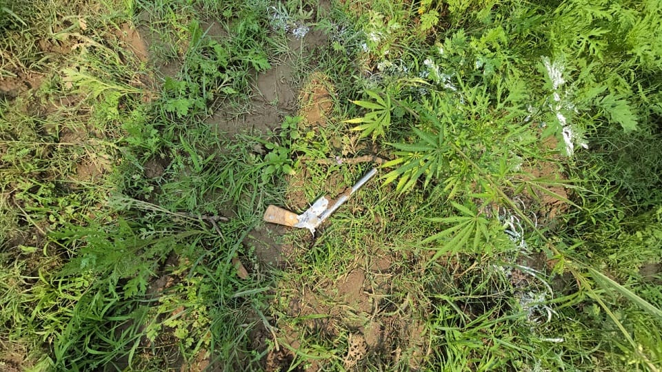 Bulandshahr harassment Story Accused crossed borders of six districts expressway and highway for 12 hours