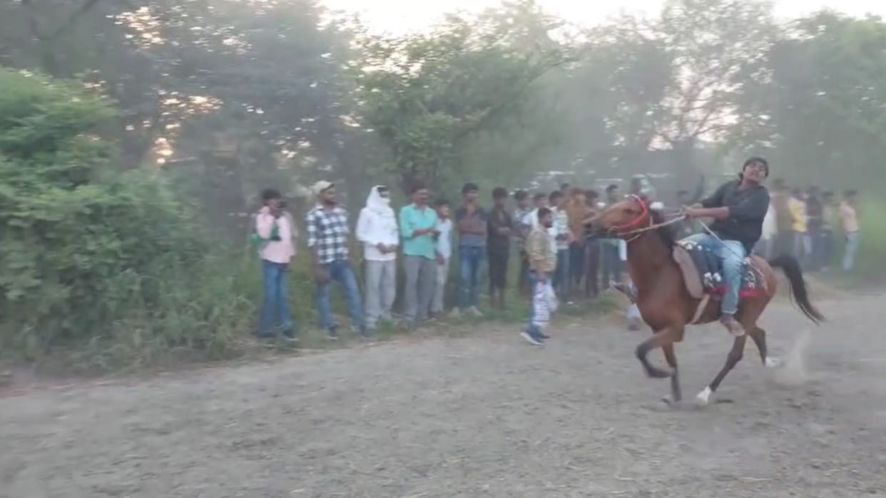 Buxar mare Bijli Rani ran the fastest Chetak competition organized