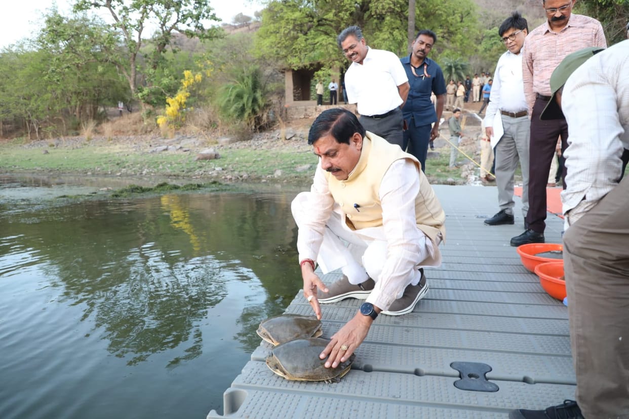 MP News: CM Dr. Yadav released turtles in the water area of Van Vihar National Park, took information abou