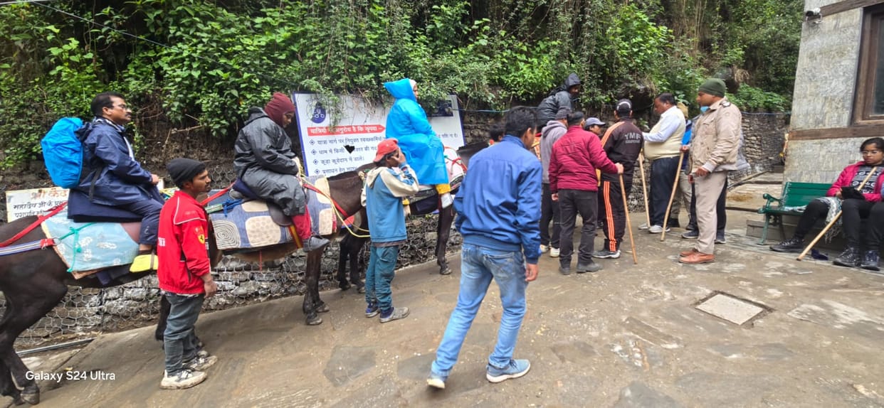 Kedarnath Dham Yatra 2025 Today 1709 horse-mule riders reached the Dham from Gaurikund