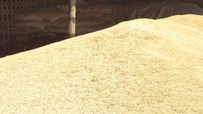 मंडी में लगा धान का ढेर