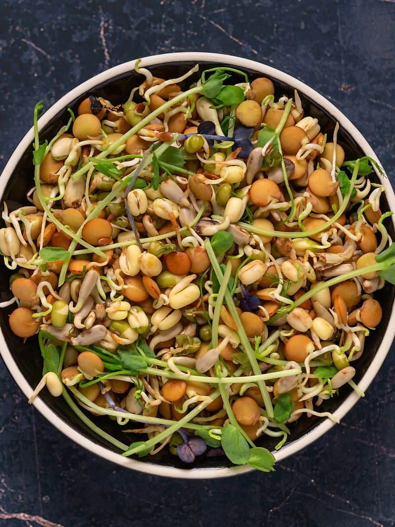 स्प्राउट्स