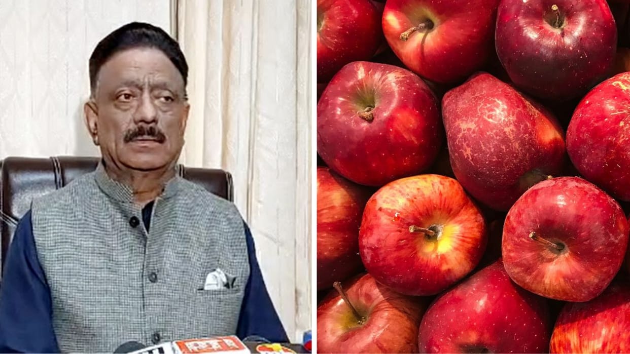 Demand raised from Himachal government should ban apple import from Turkey