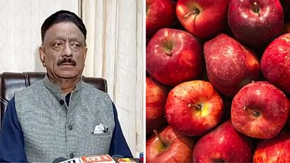 Himachal: हिमाचल से उठी मांग, तुर्किये से सेब आयात पर प्रतिबंध लगाए सरकार; पाकिस्तान की मदद करने से बागवान खफा Demand raised from Himachal government should ban apple import from Turkey