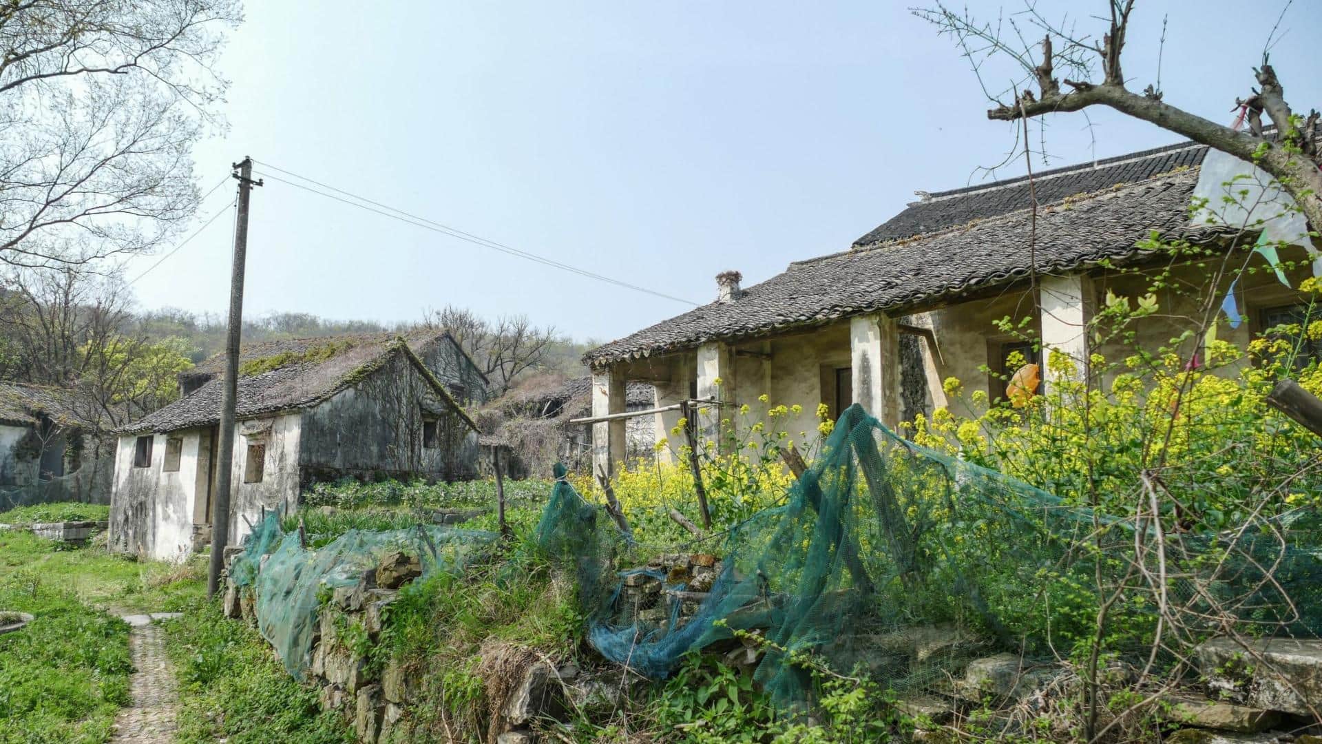 Yangsi Mysterious village in China where most people are dwarf Know Unsolved mystery key facts in Hindi