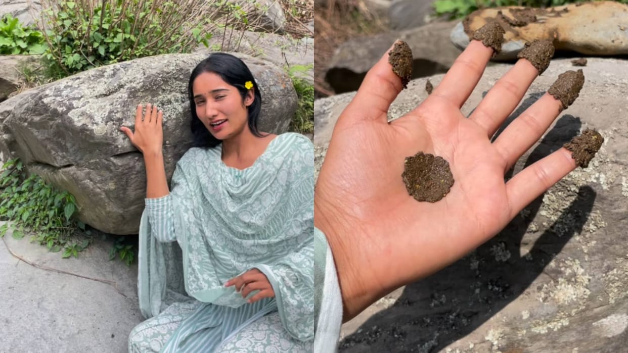 Have you ever applied mehendi made of stone This girl from Himachal explained the desi technique Video viral