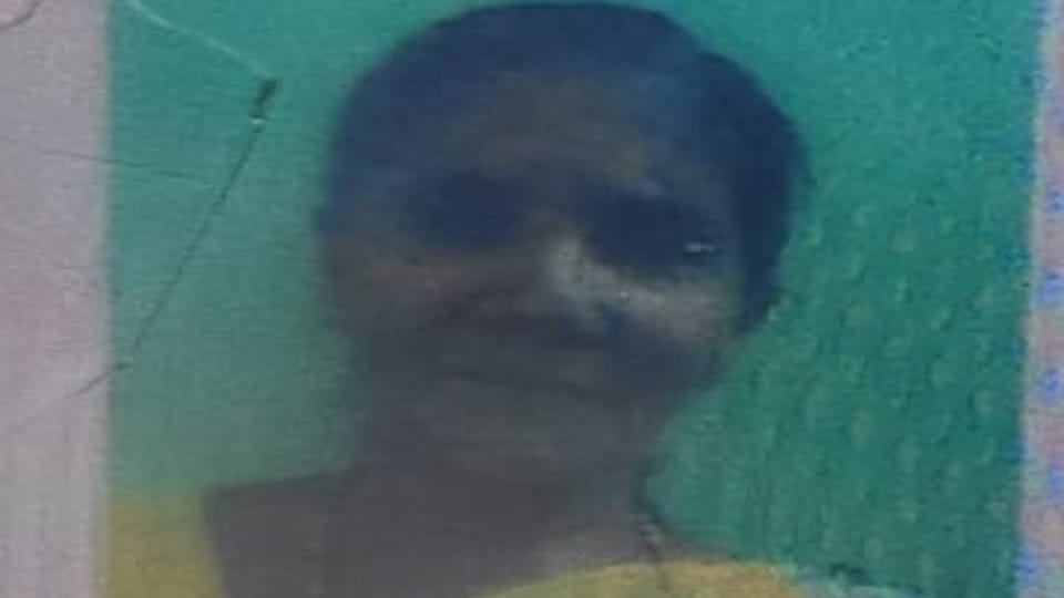 Gujarat woman dies after being hit by a boulder at Adi Kailash