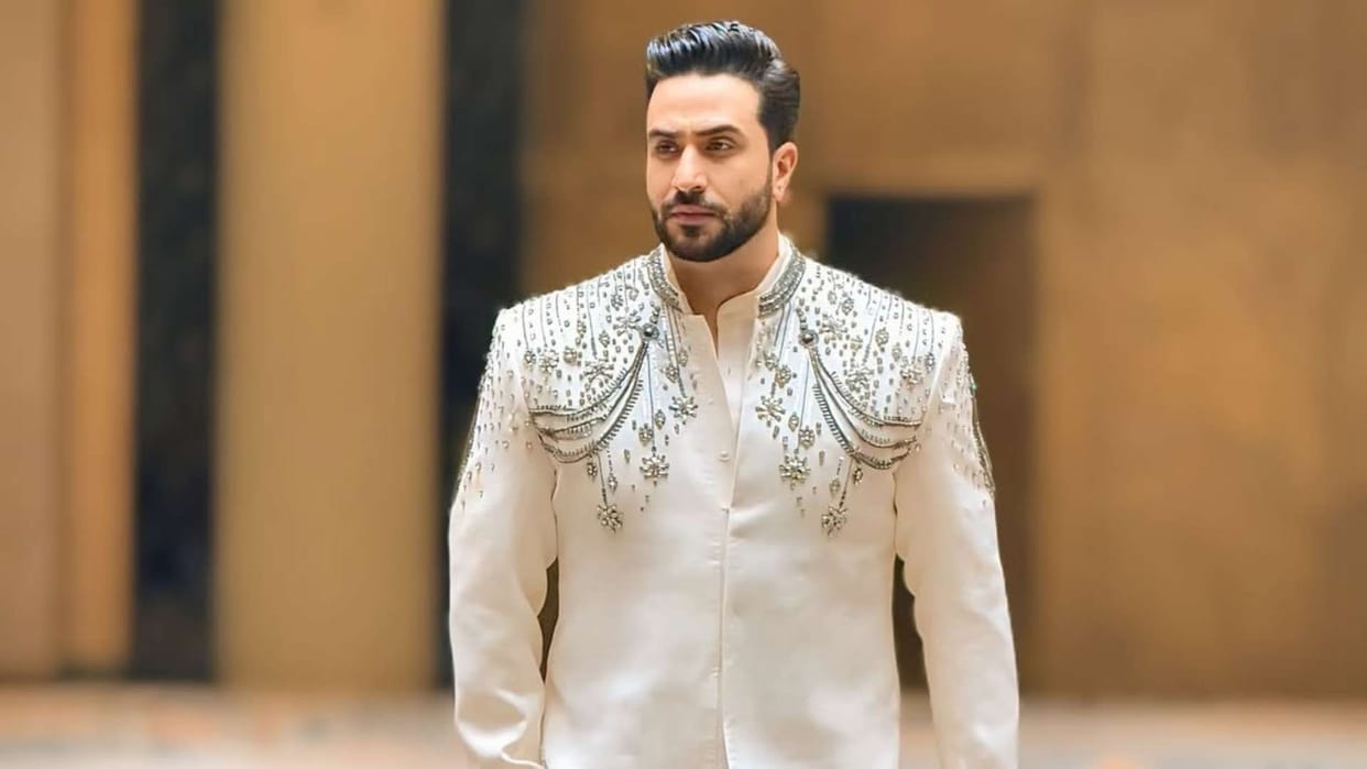 User troll to Aly Goni but he reacts Strongly To Ceasefire Violation By Pakistan says I Want Peace