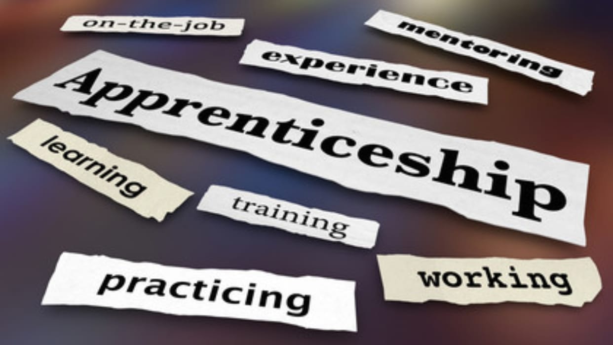Apprenticeship: Online Opportunity for Jobs and Training, Class 12 Students Can Now Apply