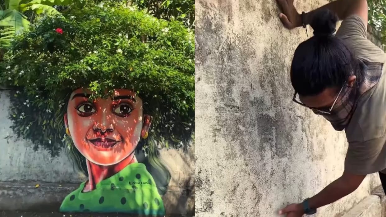 Viral Video Artist created beautiful wall painting video geos viral on social Media