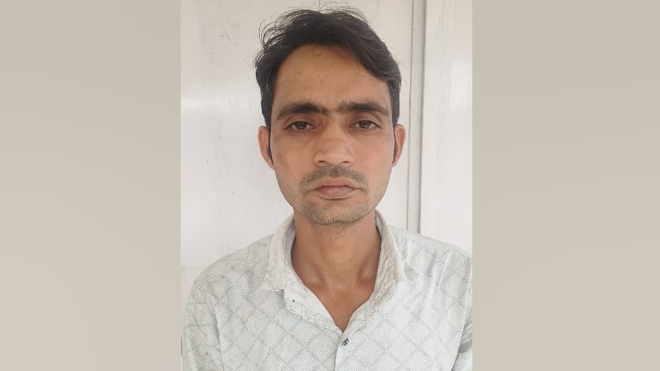 Bulandshahr Assault and Murder Case Survivor Reveals Full Story UP Crime News in Hindi