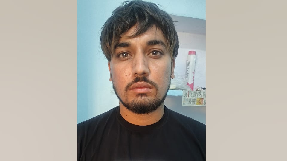 Bulandshahr Assault and Murder Case Survivor Reveals Full Story UP Crime News in Hindi