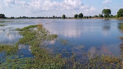 नदी (प्रतीकात्मक)