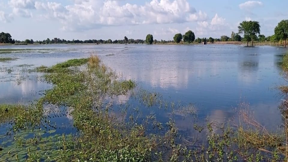 World Environment Day: Rivers condition in Dehradun is bad water is polluted