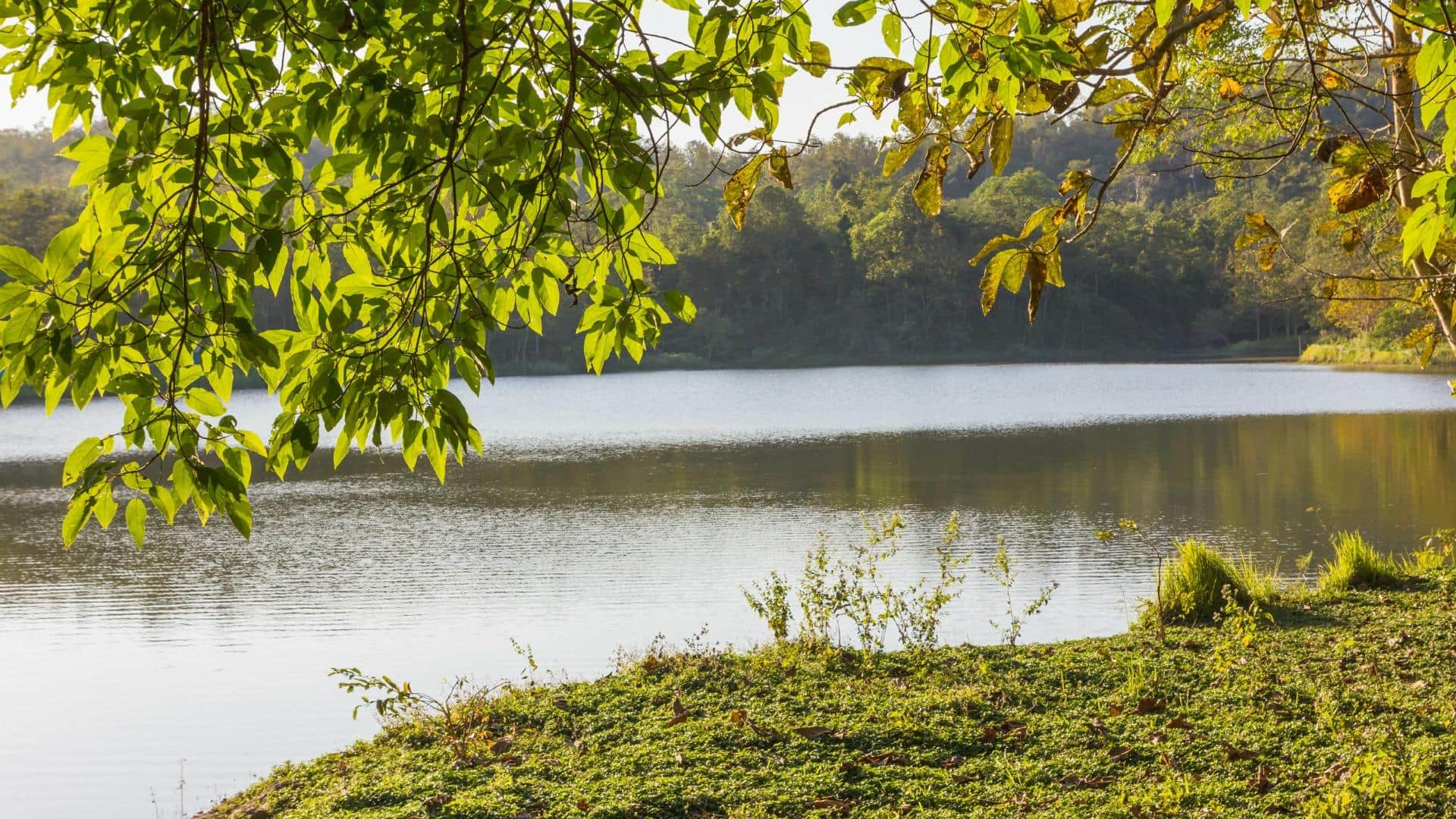 Mysterious Lakes of India Where Visitors Never Returned bharat ki rahasyamayi jheel