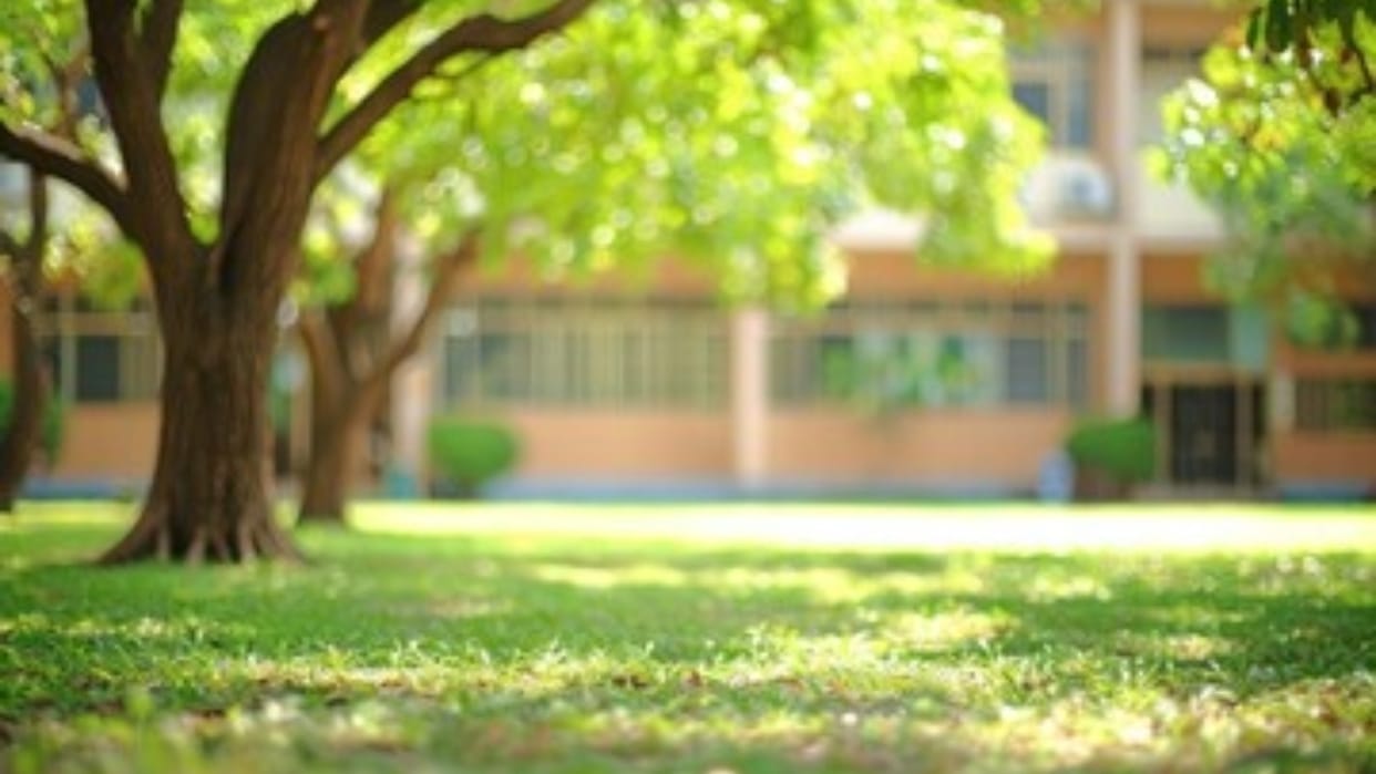 Delhi Schools to Launch Plantation Drive to Boost Green Cover; 3.7 Lakh Saplings to be Planted