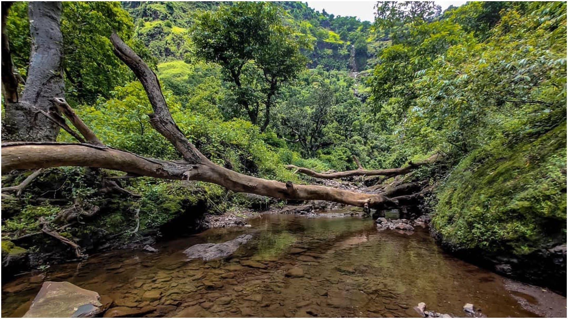 Foreign Like hill station near nagpur Chikhaldara Tourist Places