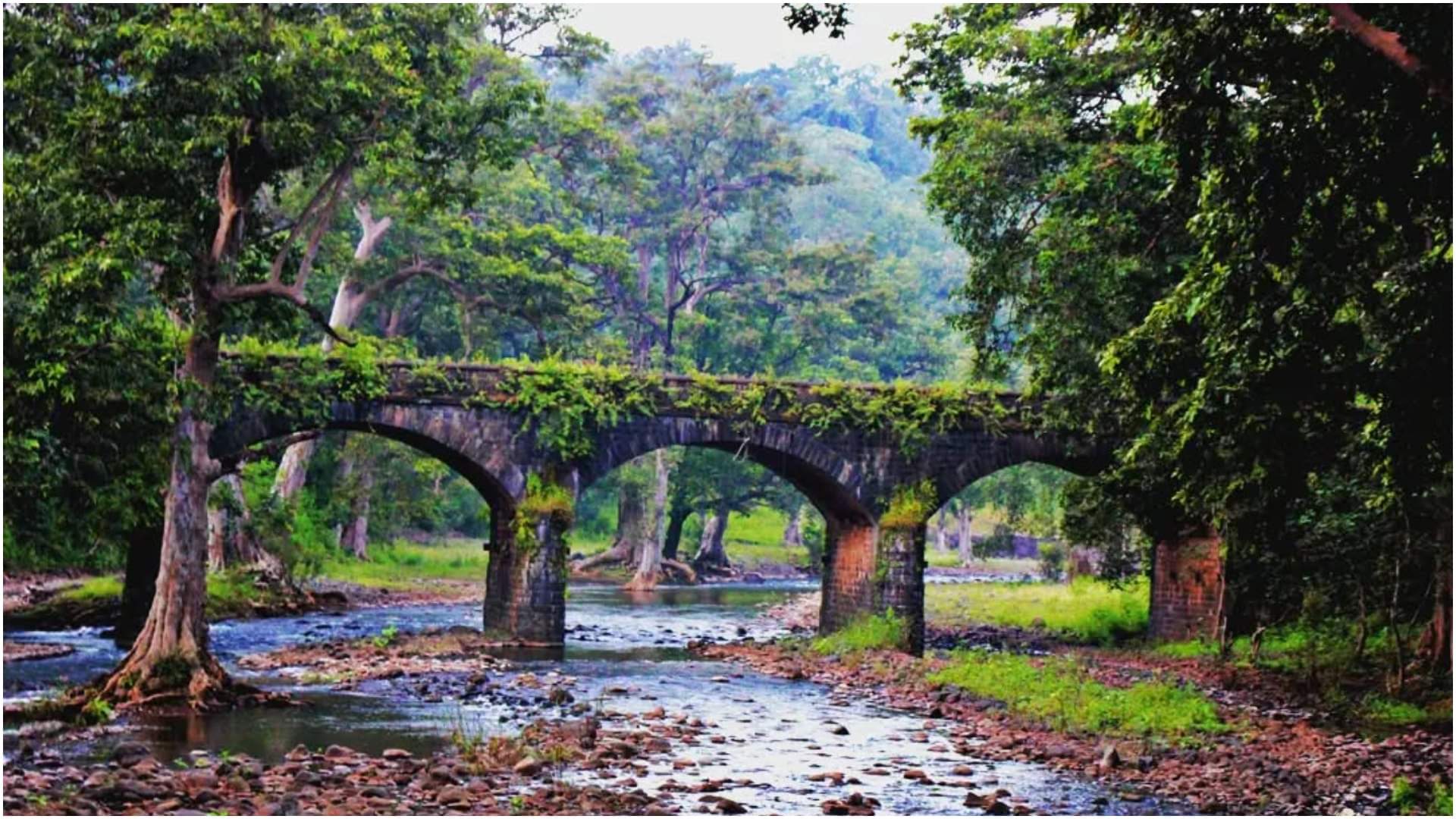 Best Places to Visit in India Under Rs 5000 Monsoon Travel Tips in Hindi