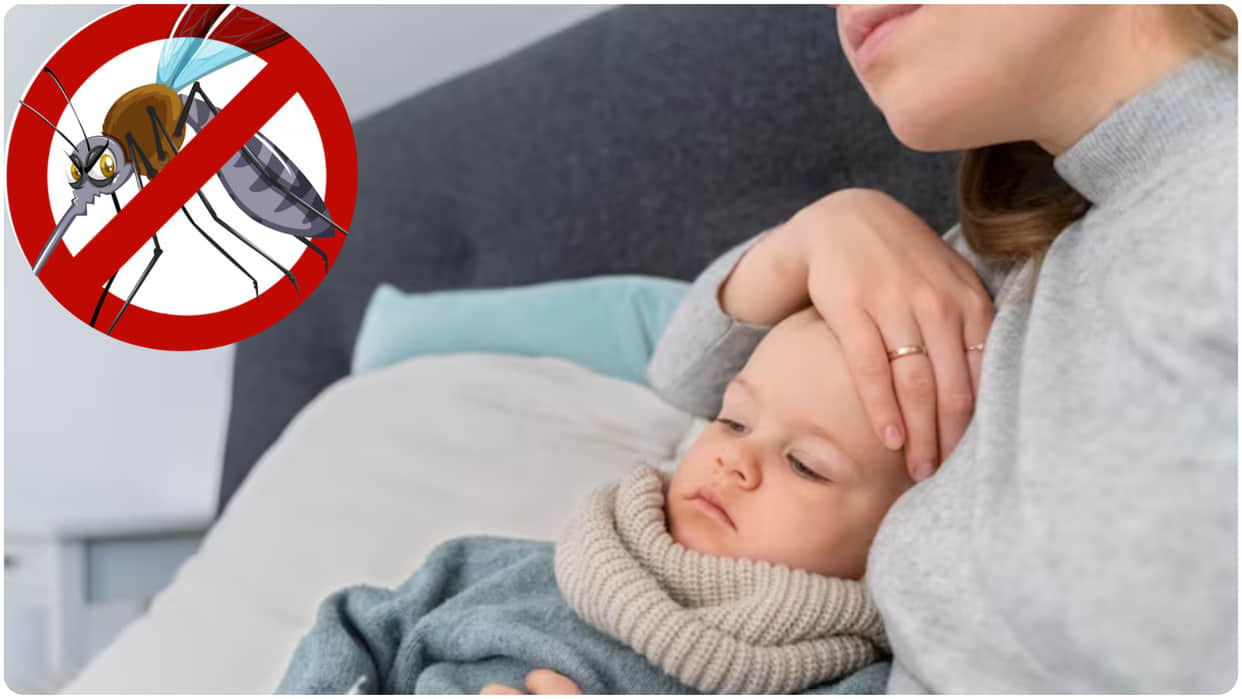 in monsoon dengue starts haunting, know 4 easy ways to avoid it