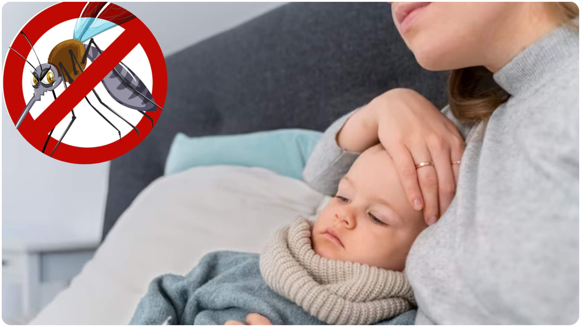 delhi ncr dengue latest news and update know what to do in dengue fever