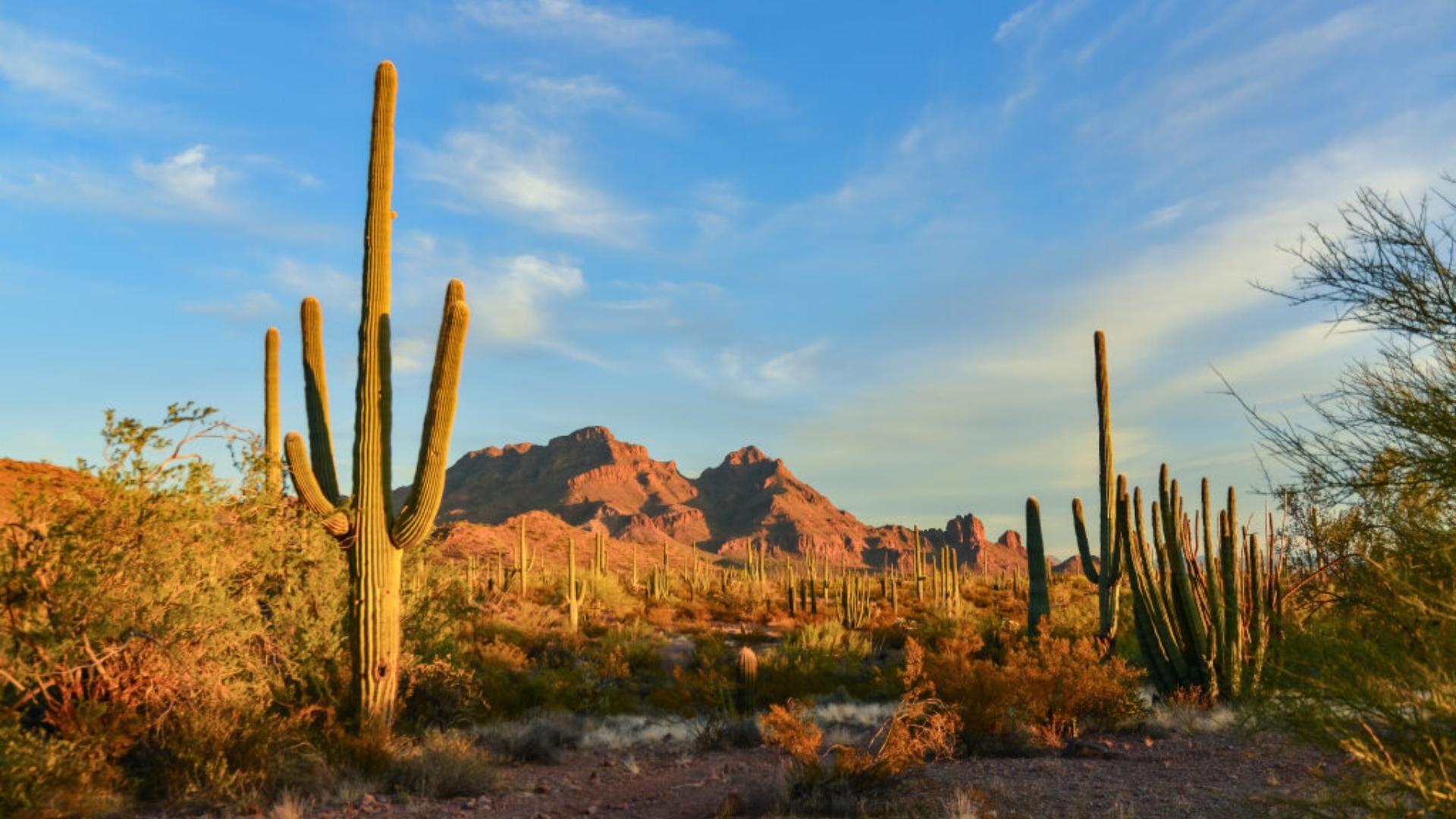 5 Hottest Places On Earth Know Interesting Facts in Hindi el nino weather update