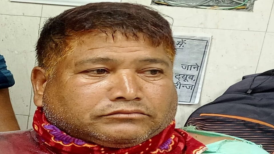 Pig Attacks Farmer in Bageshwar