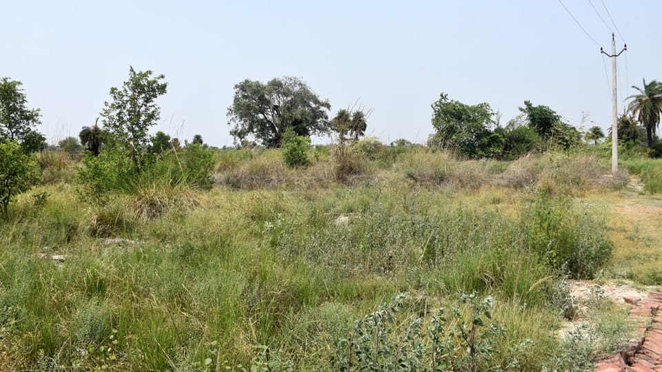 Meerut: Awas Vikas starts e-auction of properties worth Rs 50 crore, know where these lands are